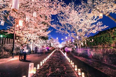 3月 イベント 日本: 桜の季節とともに訪れる文化的祭典