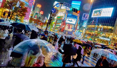 都内 室内 デート ～雨の日でも楽しめる秘密のスポット～